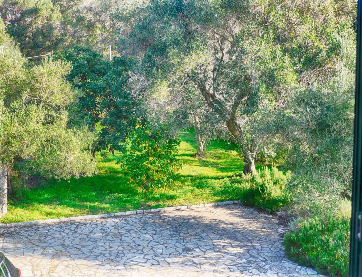 Vilă - 3 Minutes From The With Heated Eco-pool And Sunset View